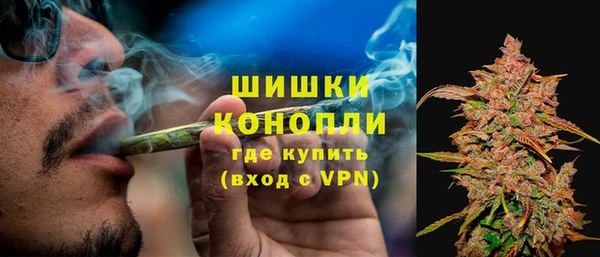 ПСИЛОЦИБИНОВЫЕ ГРИБЫ Нефтегорск
