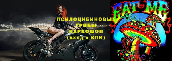 ПСИЛОЦИБИНОВЫЕ ГРИБЫ Нефтегорск