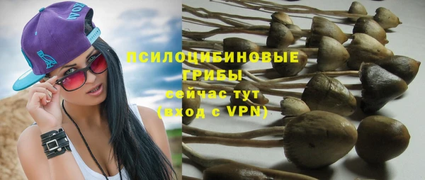 ПСИЛОЦИБИНОВЫЕ ГРИБЫ Нефтегорск