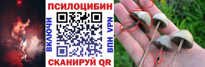 mega онион  наркошоп  Юхнов  Псилоцибиновые грибы ЛСД 