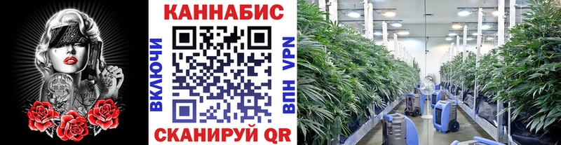 Конопля индика Юхнов